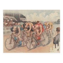 TOP Finish Line Post Card