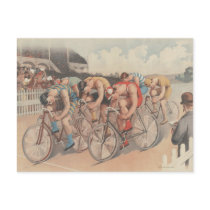 TOP Finish Line postcards by teepossible TOP Finish Line postcards