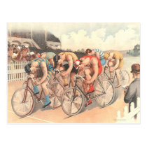 TOP Finish Line Postcard
