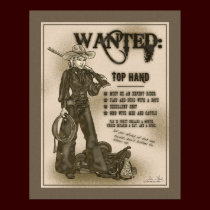 Top Hand Cowgirl Poster posters