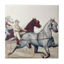 TOP Harness Racing Ceramic Tiles