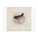 Top Hat and Cane Flea Postcards