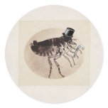 Top Hat and Cane Flea Stickers