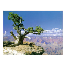 Top O' The Canyon posters by Dreamscapes Top O' The Canyon posters