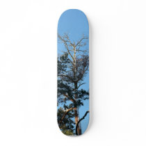 Top Of Dying Tree skateboards by lifesphere Top Of Dying Tree skateboards