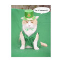 Top of the Mornin' postcards by myrtieshuman Top of the Mornin' postcards