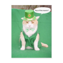 Top of the Mornin' postcards by myrtieshuman Top of the Mornin' postcards