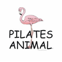 TOP Pilates Animal photo sculptures