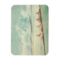 TOP Rower magnets