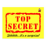 Top secret birthday surprise party invitation postcards