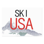 TOP Ski USA