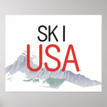 TOP Ski USA posters