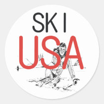 TOP Ski USA stickers