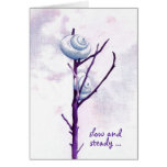 Top Snail Congratulations Card