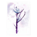 Top Snail Poster posters