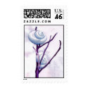 Top Snail Stamp