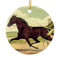 TOP Sulky Champ Christmas Ornaments