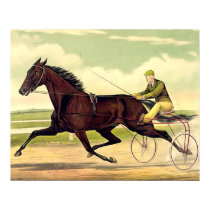 TOP Sulky Champ Posters