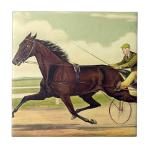 TOP Sulky Champ Tiles