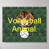 TOP Volleyball Animal posters