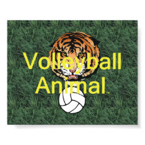 TOP Volleyball Animal Posters