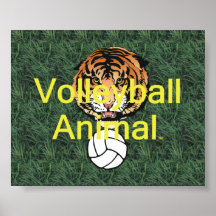 TOP Volleyball Animal Posters