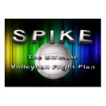 TOP Volleyball Flight Plan Business Cards