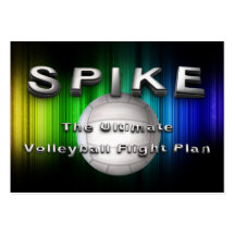 TOP Volleyball Flight Plan Business Cards