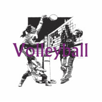 TOP Women's Volleyball photo sculptures