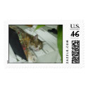 Topanga in Chair postage by titanic Topanga in Chair postage