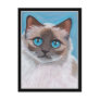 Topaz - Seal Point Ragdol...
