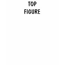 TOPFIGURE t-shirts