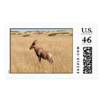 Topi on termite mound postage