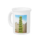 Topiaried pencil pine against blue sky beverage pitcher