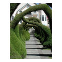 Topiary Arches at Zarcero, Costa Rica posters by BruceRawles Topiary Arches at Zarcero, Costa Rica posters