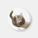 Topper the Cat Magnet