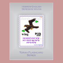 Torah Flashcards Series - Bereishis Nouns postcards