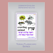 Torah Flashcards Series - Bereishis Nouns postcards