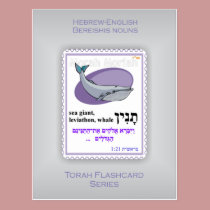 Torah Flashcards Series - Bereishis Nouns postcards