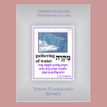 Torah Flashcards Series - Bereishis Nouns postcards