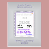 Torah Flashcards Series - Bereishis Nouns postcards