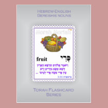 Torah Flashcards Series - Bereishis Nouns postcards