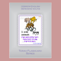 Torah Flashcards Series - Bereishis Nouns postcards