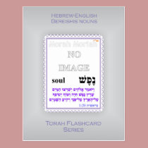 Torah Flashcards Series - Bereishis Nouns postcards
