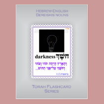 Torah Flashcards Series - Bereishis Nouns postcards