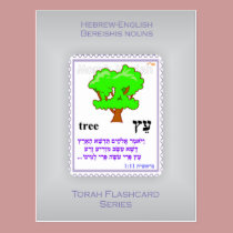 Torah Flashcards Series - Bereishis Nouns postcards