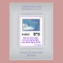 Torah Flashcards Series - Bereishis Nouns postcards