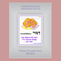 Torah Flashcards Series - Bereishis Nouns postcards