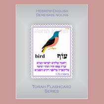 Torah Flashcards Series - Bereishis Nouns postcards