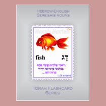 Torah Flashcards Series - Bereishis Nouns postcards